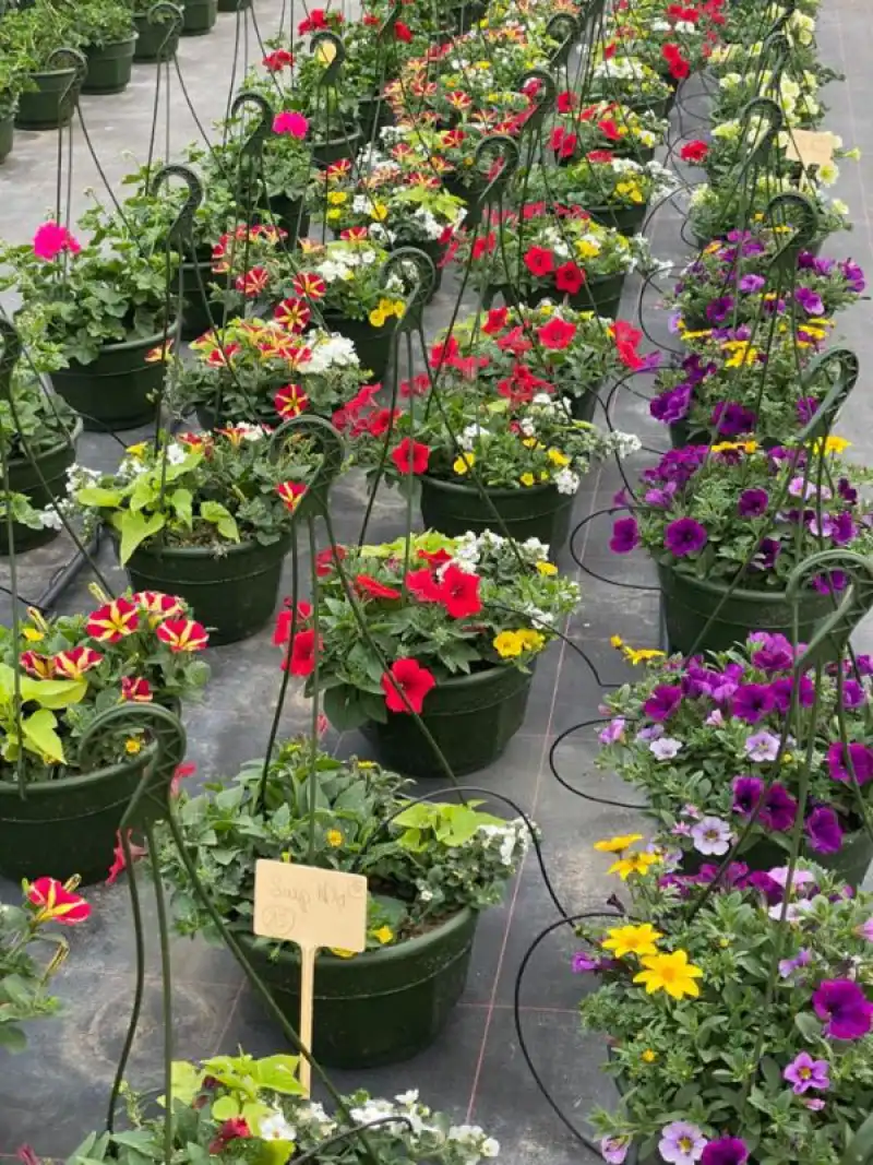 Le Jardin De Vanteaux Horticulteur Limoges Galerie 1